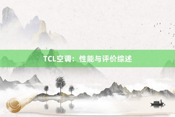 TCL空调：性能与评价综述